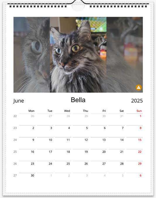 Tail-of-the-Month Calendar + Winner Discount (June 2025 - June 2026)