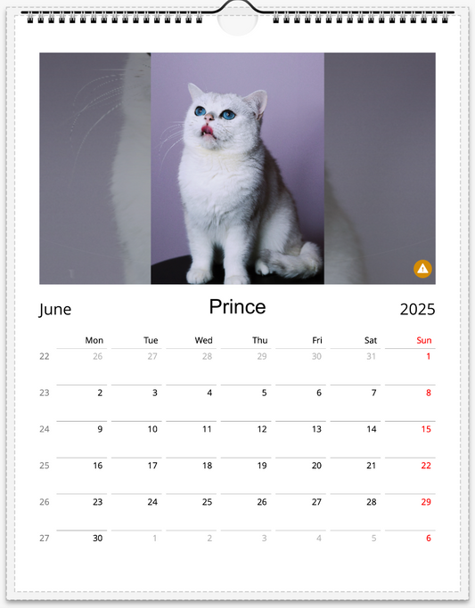 Tail-of-the-Month Calendar + Winner Discount (June 2025 - June 2026)