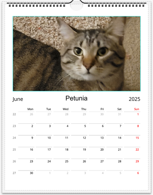 Tail-of-the-Month Calendar + Winner Discount (June 2025 - June 2026)
