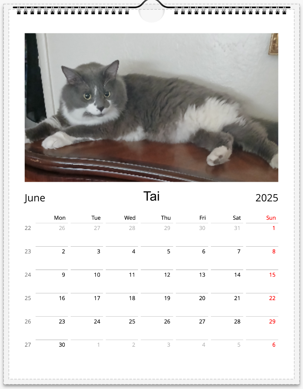 Tail-of-the-Month Calendar + Winner Discount (June 2025 - June 2026)