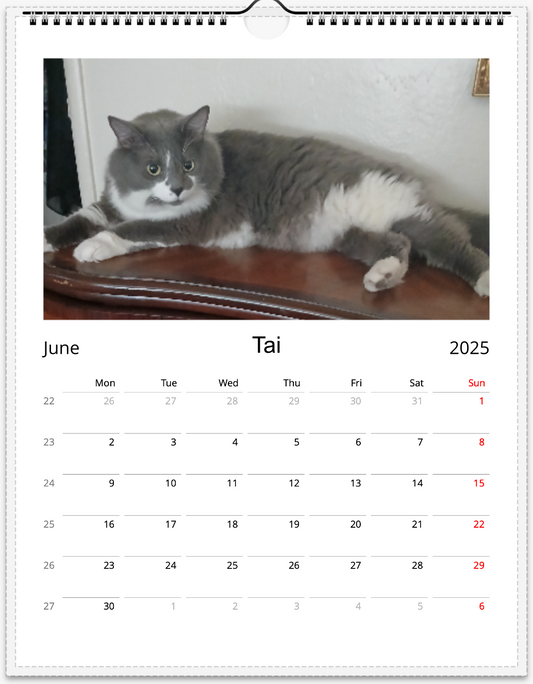 Tail-of-the-Month Calendar + Winner Discount (June 2025 - June 2026)
