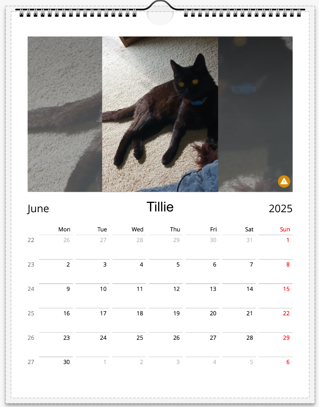 Tail-of-the-Month Calendar + Winner Discount (June 2025 - June 2026)