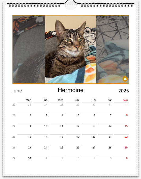 Tail-of-the-Month Calendar + Winner Discount (June 2025 - June 2026)