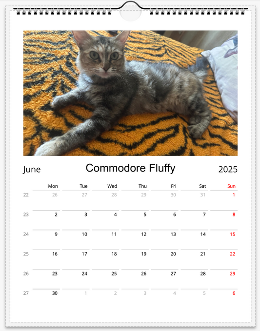 Tail-of-the-Month Calendar + Winner Discount (June 2025 - June 2026)