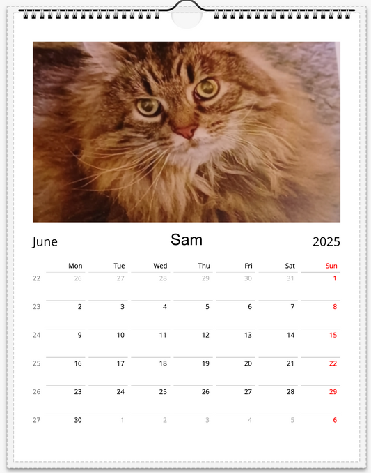 Tail-of-the-Month Calendar + Winner Discount (June 2025 - June 2026)