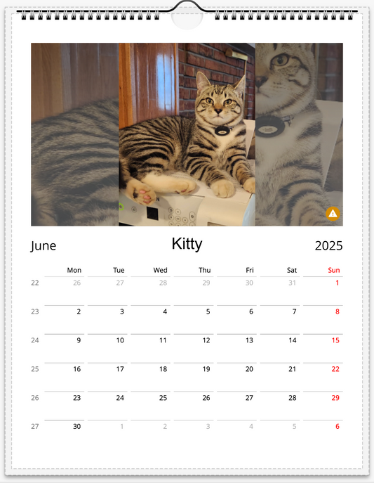 Tail-of-the-Month Calendar + Winner Discount (June 2025 - June 2026)