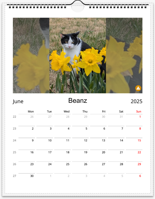 Tail-of-the-Month Calendar + Winner Discount (June 2025 - June 2026)