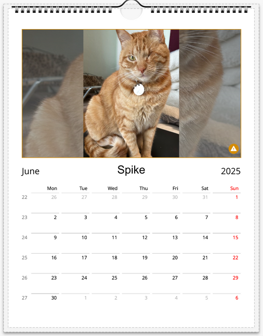 Tail-of-the-Month Calendar + Winner Discount (June 2025 - June 2026)