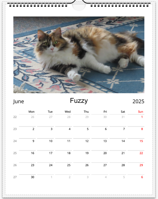 Tail-of-the-Month Calendar + Winner Discount (June 2025 - June 2026)