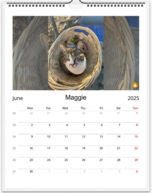 Tail-of-the-Month Calendar + Winner Discount (June 2025 - June 2026)