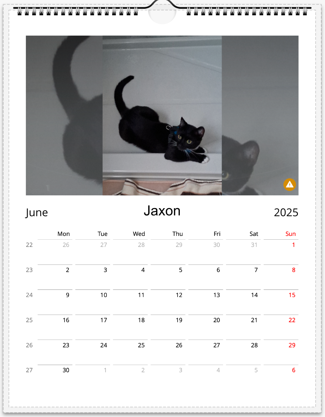 Tail-of-the-Month Calendar + Winner Discount (June 2025 - June 2026)