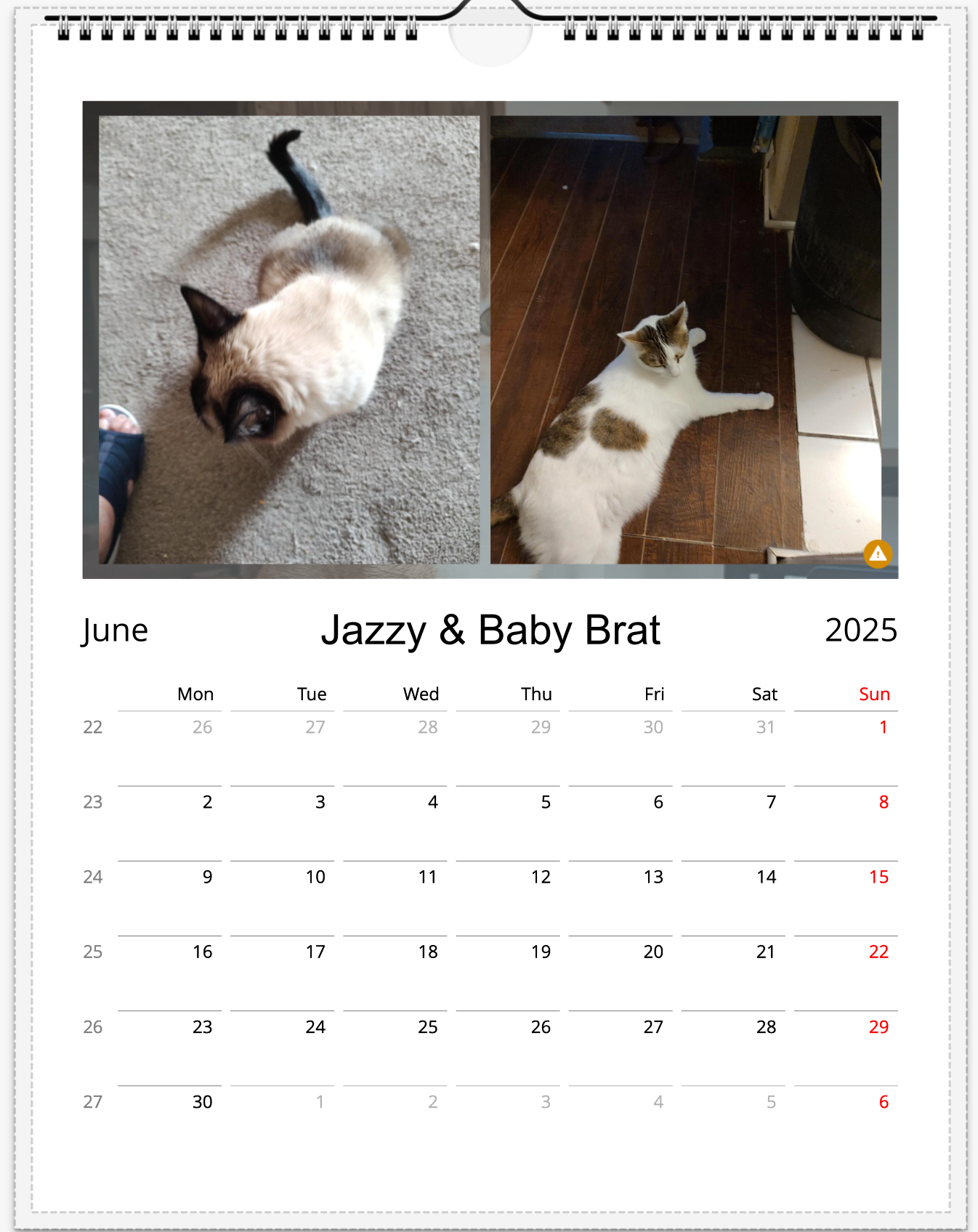 Tail-of-the-Month Calendar + Winner Discount (June 2025 - June 2026)