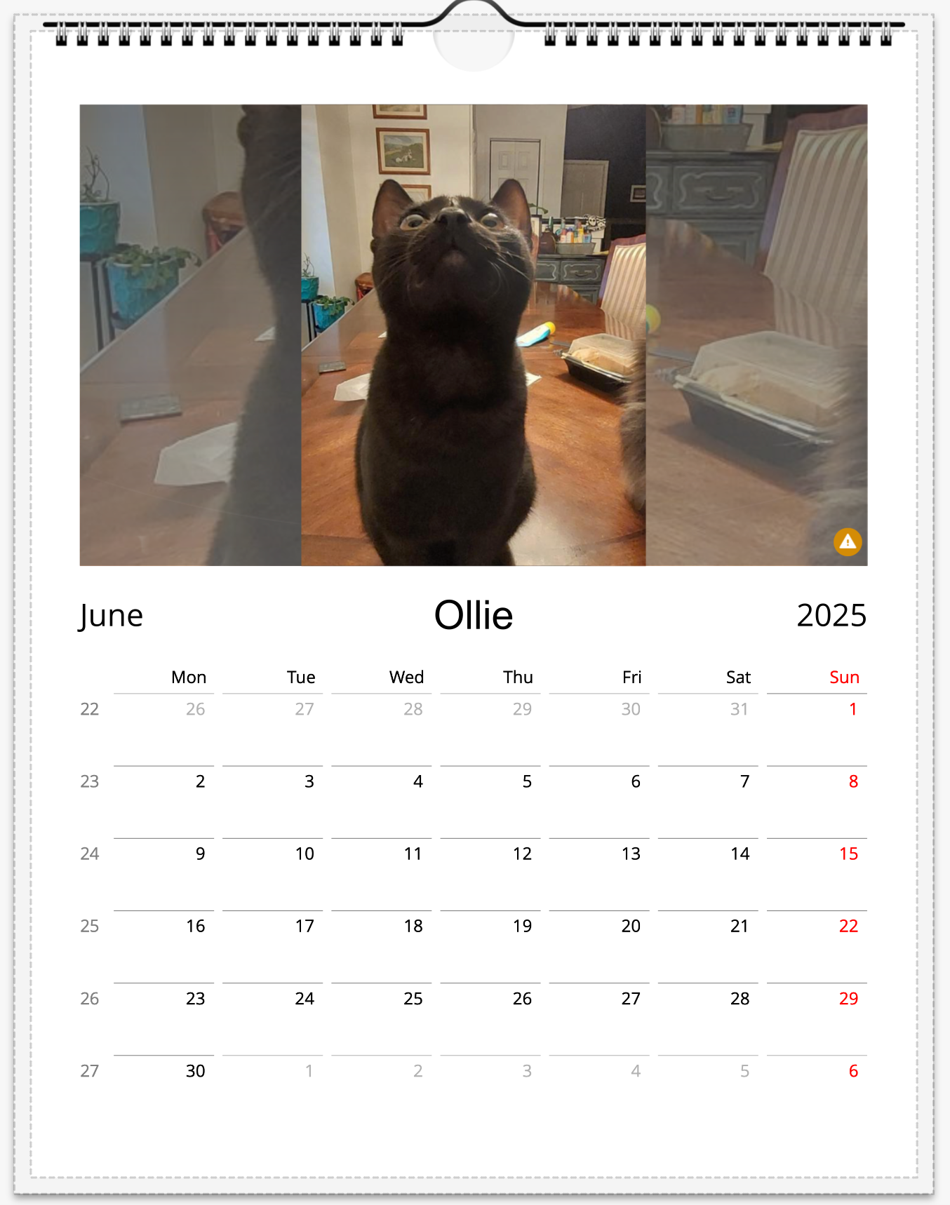Tail-of-the-Month Calendar + Winner Discount (June 2025 - June 2026)