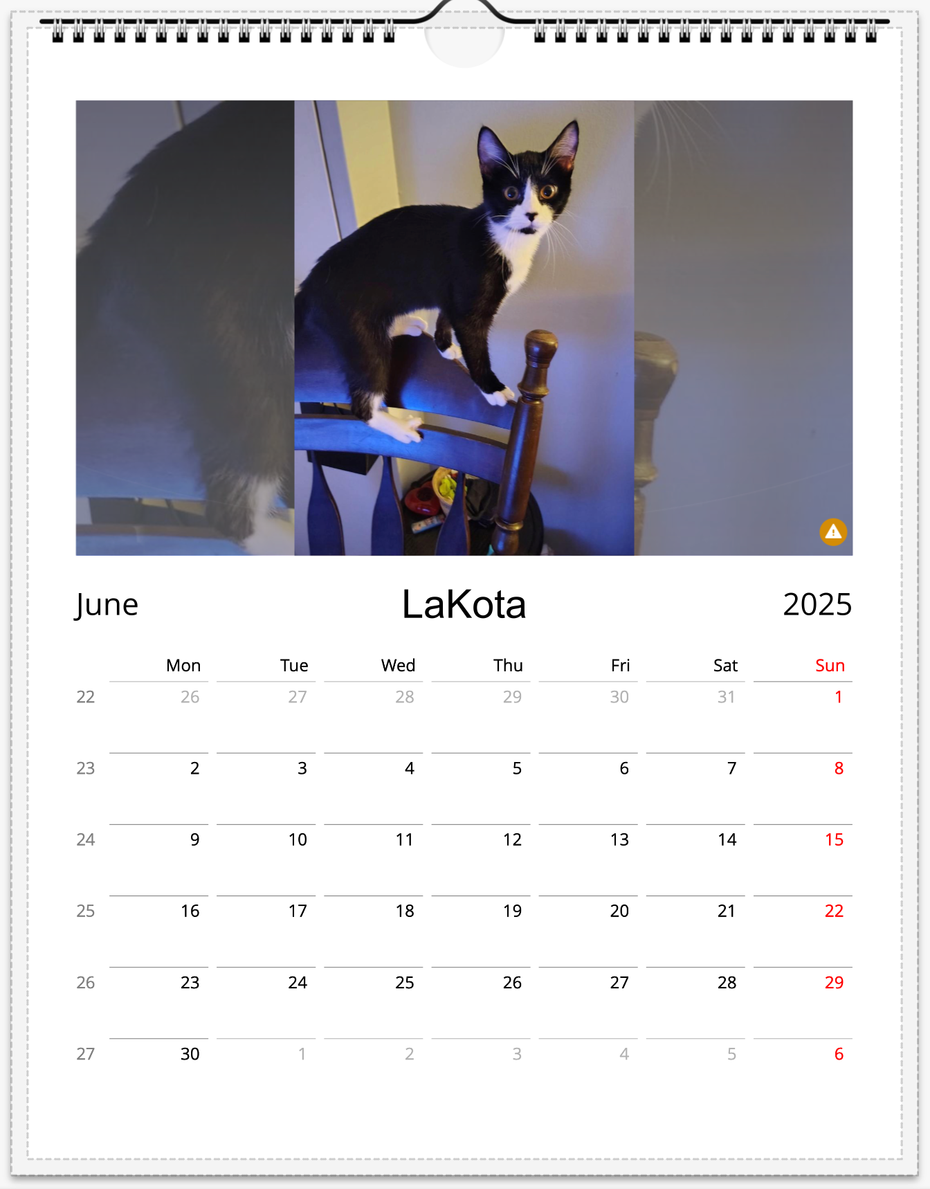 Tail-of-the-Month Calendar + Winner Discount (June 2025 - June 2026)
