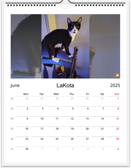 Tail-of-the-Month Calendar + Winner Discount (June 2025 - June 2026)