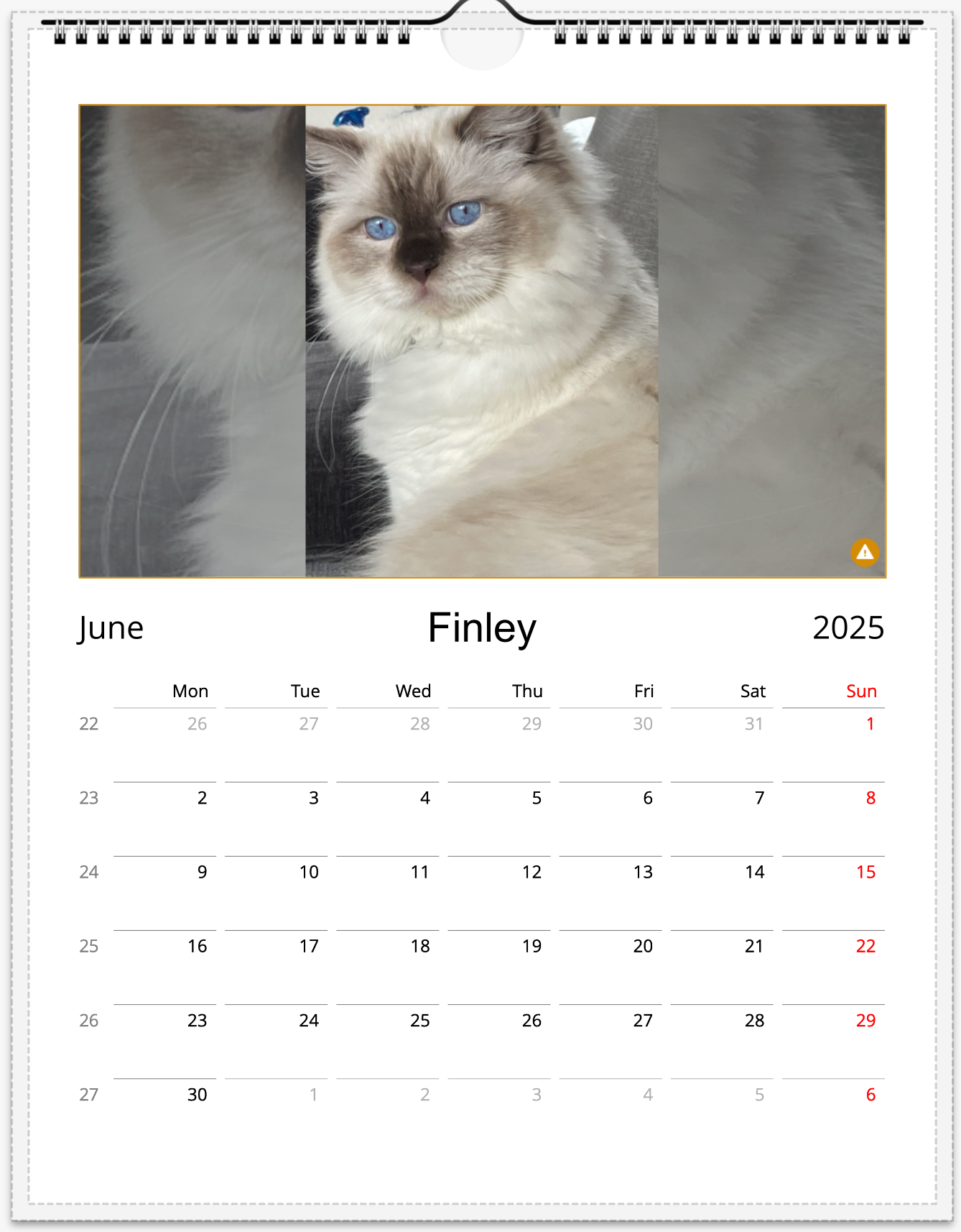 Tail-of-the-Month Calendar + Winner Discount (June 2025 - June 2026)