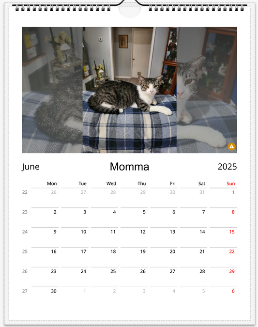 Tail-of-the-Month Calendar + Winner Discount (June 2025 - June 2026)