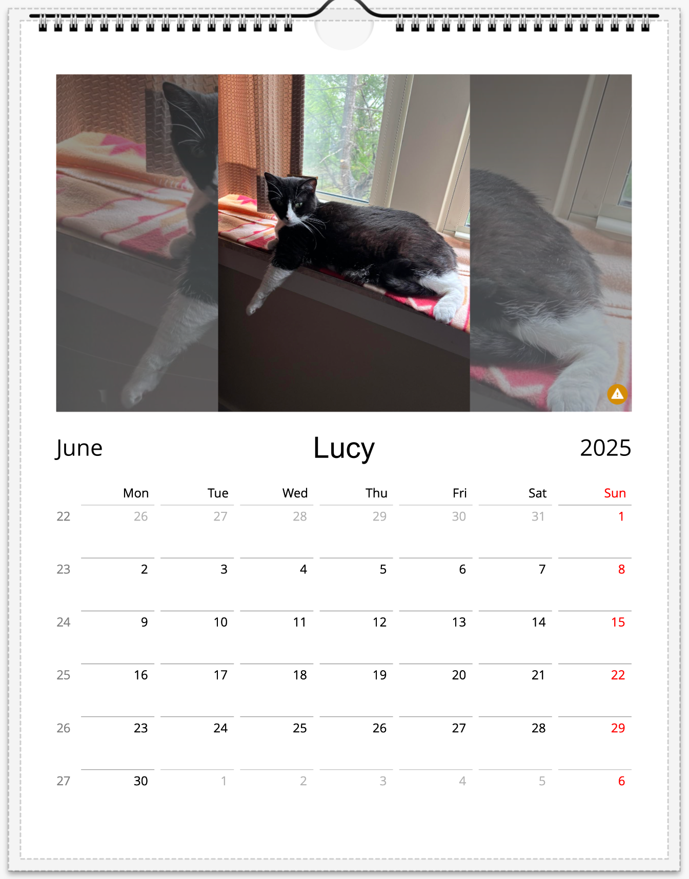 Tail-of-the-Month Calendar + Winner Discount (June 2025 - June 2026)