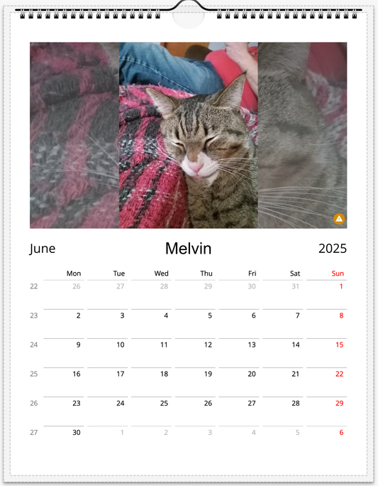 Tail-of-the-Month Calendar + Winner Discount (June 2025 - June 2026)