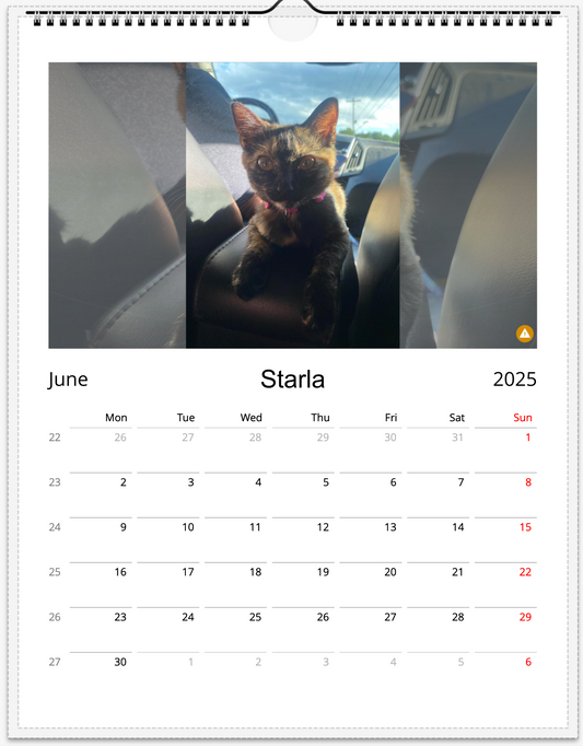 Tail-of-the-Month Calendar + Winner Discount (June 2025 - June 2026)