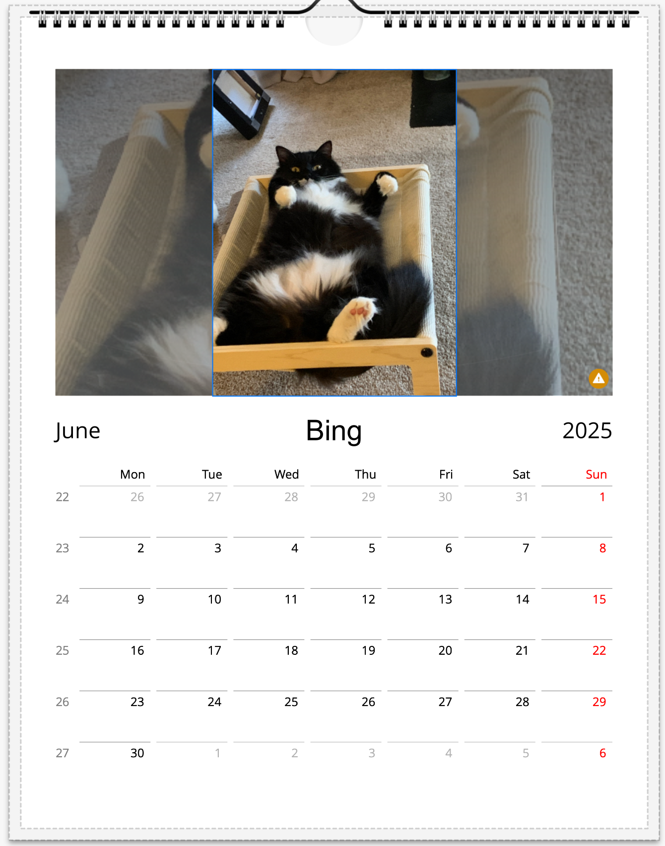 Tail-of-the-Month Calendar + Winner Discount (June 2025 - June 2026)