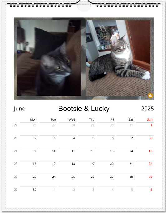 Tail-of-the-Month Calendar + Winner Discount (June 2025 - June 2026)