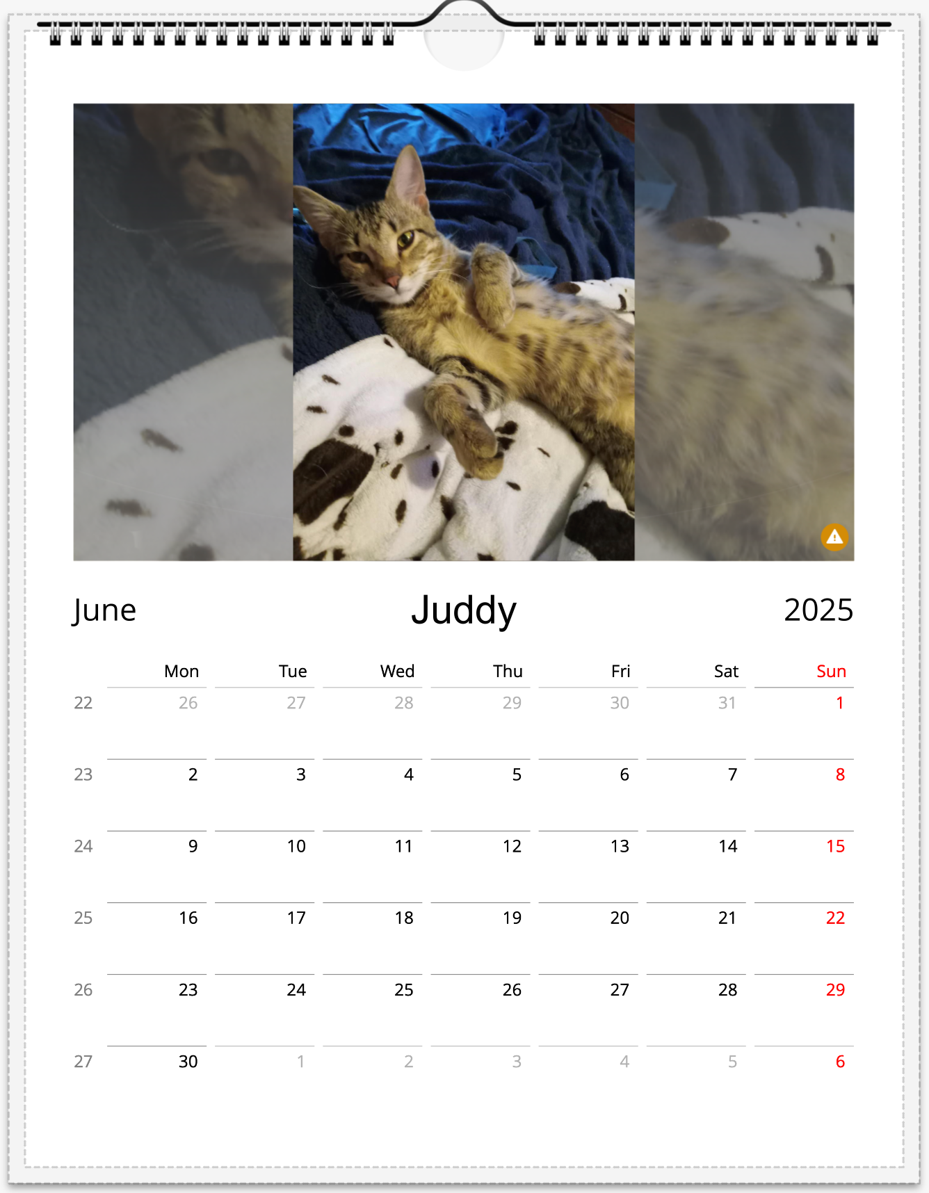 Tail-of-the-Month Calendar + Winner Discount (June 2025 - June 2026)