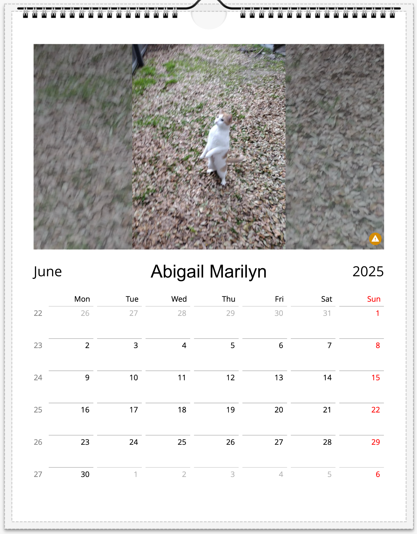 Tail-of-the-Month Calendar + Winner Discount (June 2025 - June 2026)
