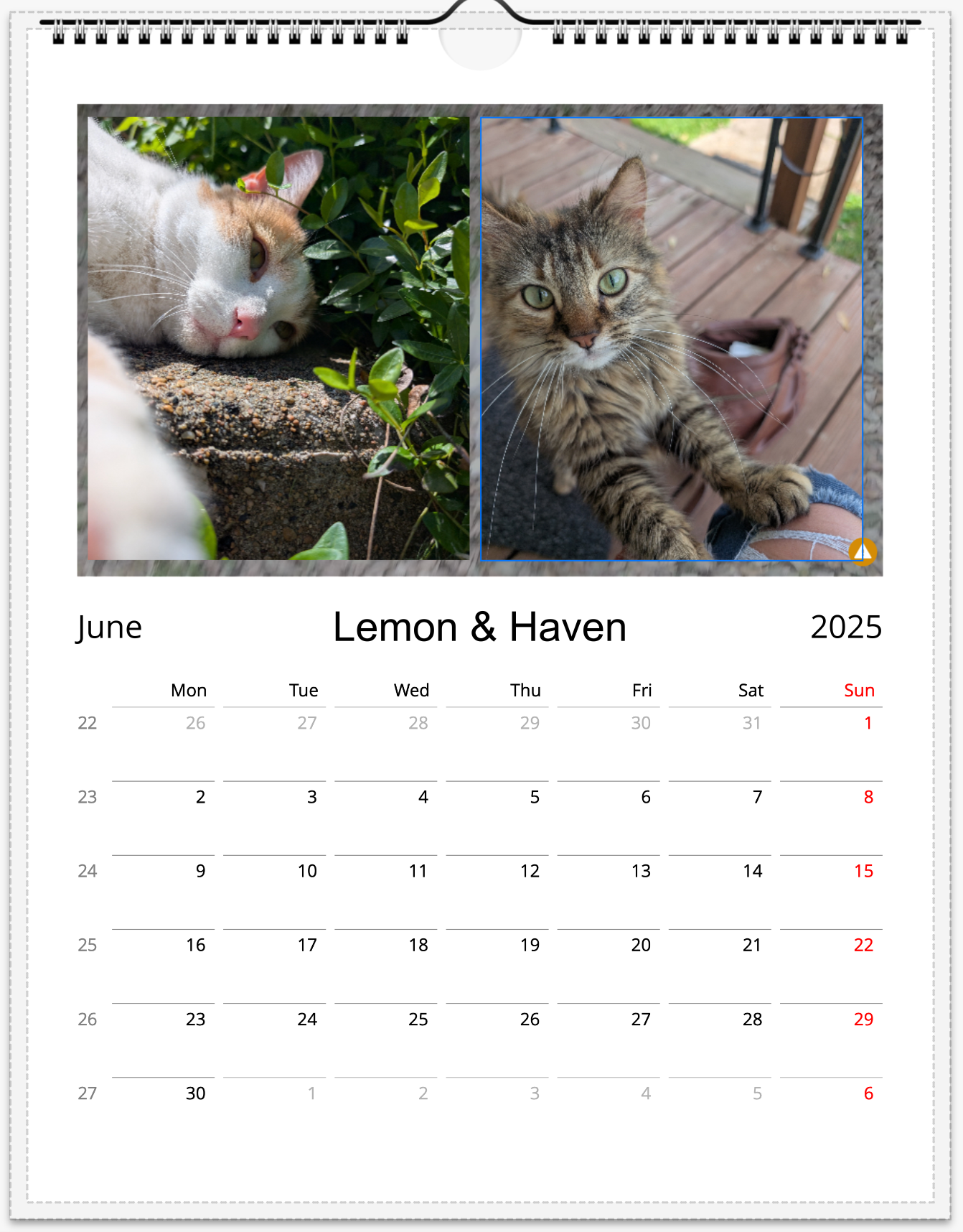 Tail-of-the-Month Calendar + Winner Discount (June 2025 - June 2026)