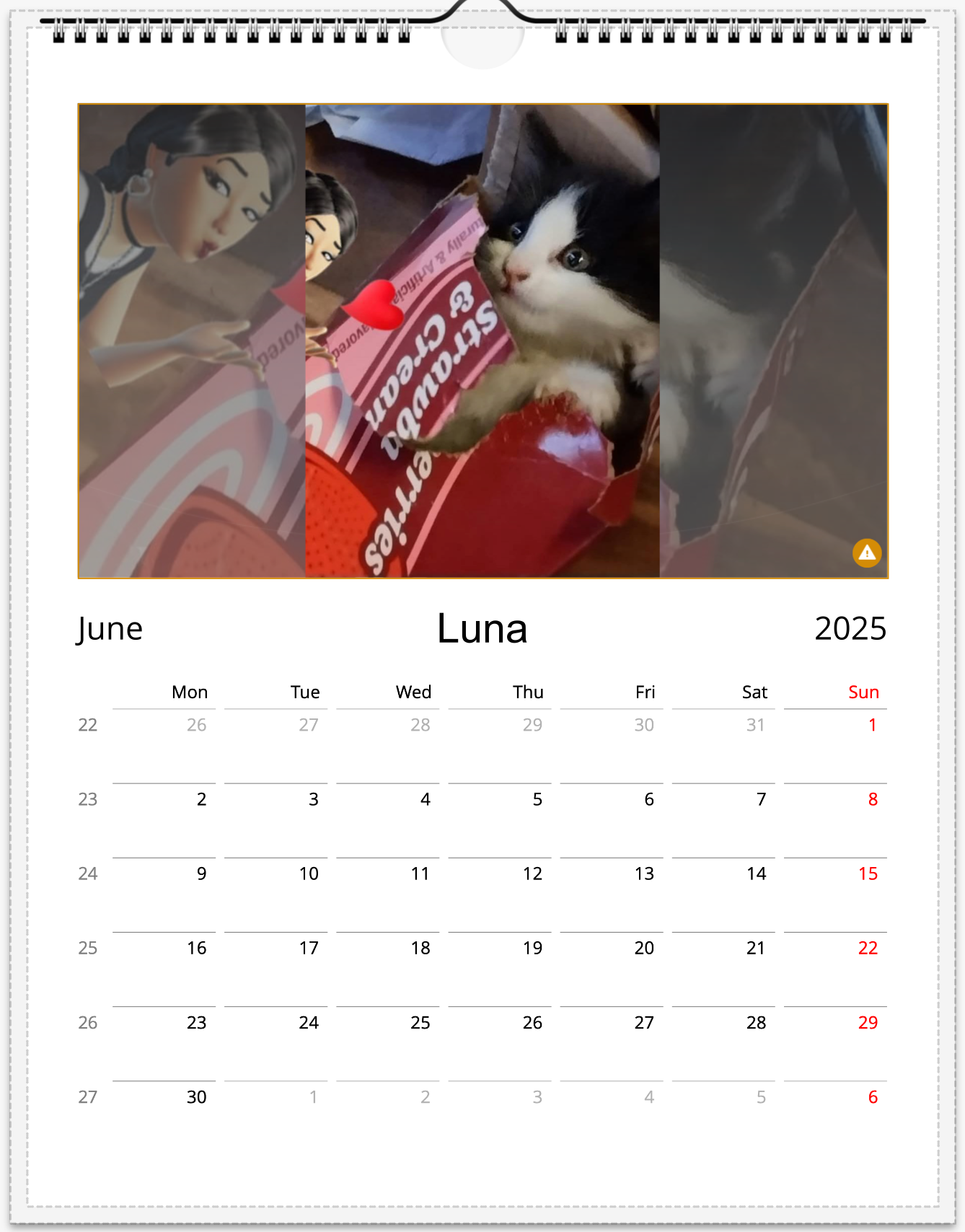 Tail-of-the-Month Calendar + Winner Discount (June 2025 - June 2026)