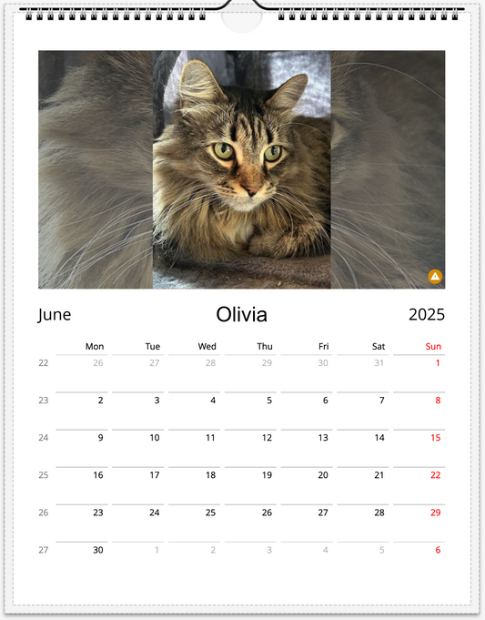 Tail-of-the-Month Calendar + Winner Discount (June 2025 - June 2026)