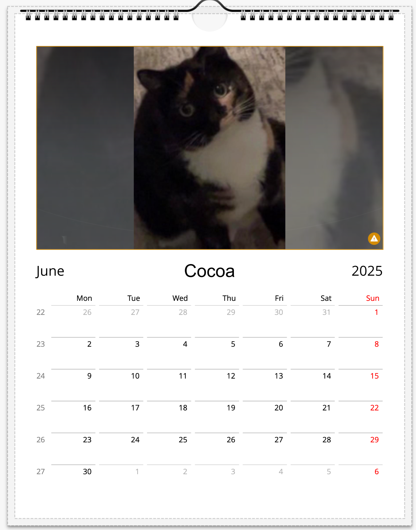 Tail-of-the-Month Calendar + Winner Discount (June 2025 - June 2026)