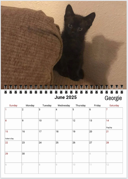 Tail-of-the-Month Calendar + Winner Discount (May 2025 - June 2026)