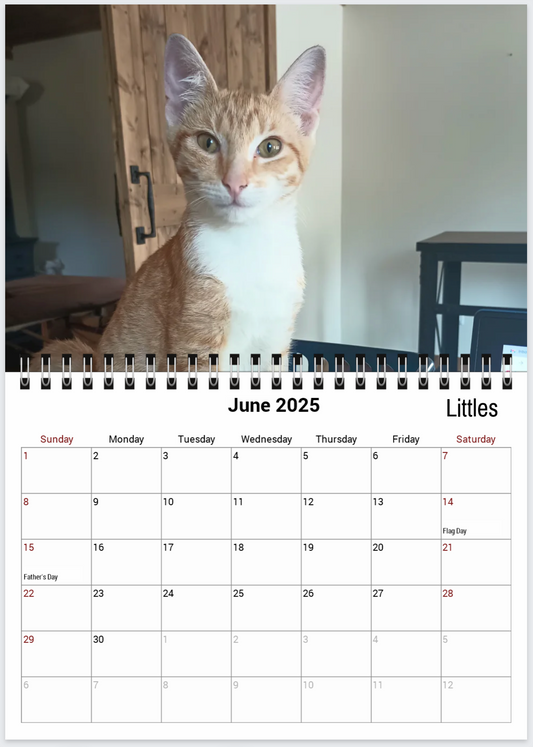 Tail-of-the-Month Calendar + Winner Discount (May 2025 - June 2026)
