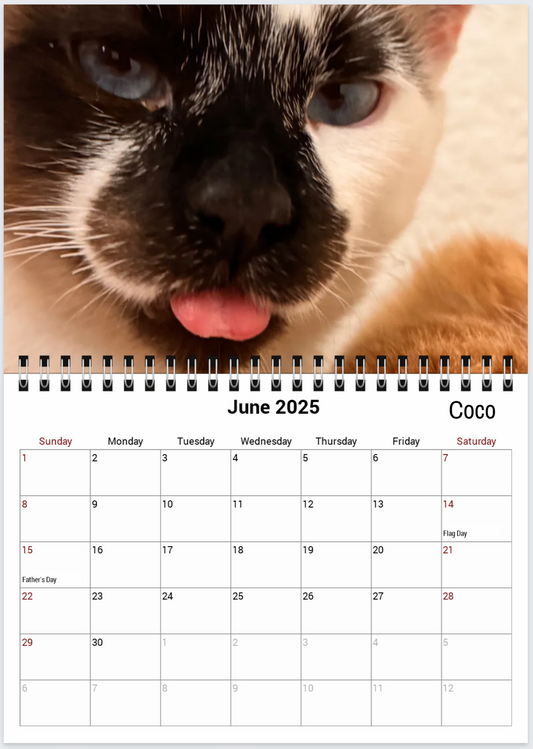 Tail-of-the-Month Calendar + Winner Discount (May 2025 - June 2026)