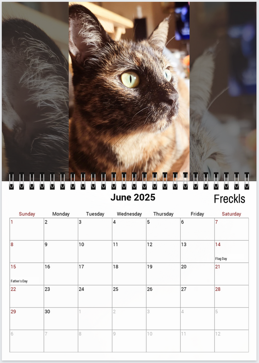 Tail-of-the-Month Calendar + Winner Discount (May 2025 - June 2026)