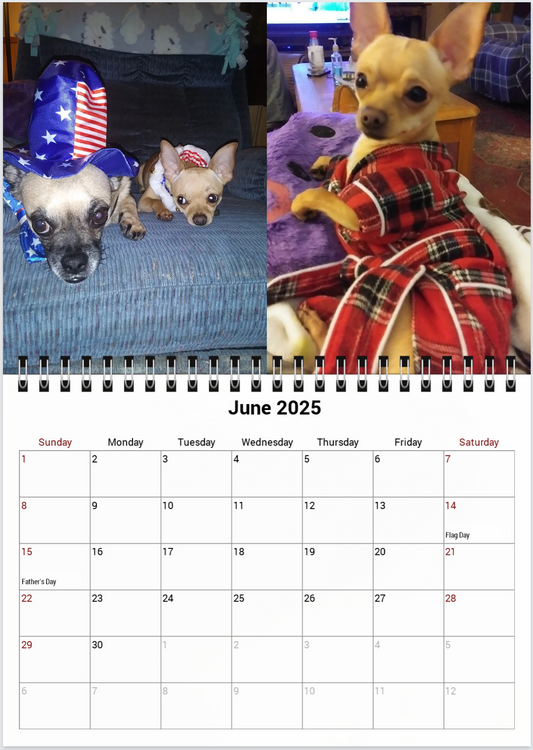Tail-of-the-Month Calendar + Winner Discount (May 2025 - June 2026)