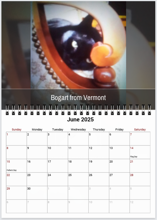 Tail-of-the-Month Calendar + Winner Discount (May 2025 - June 2026)