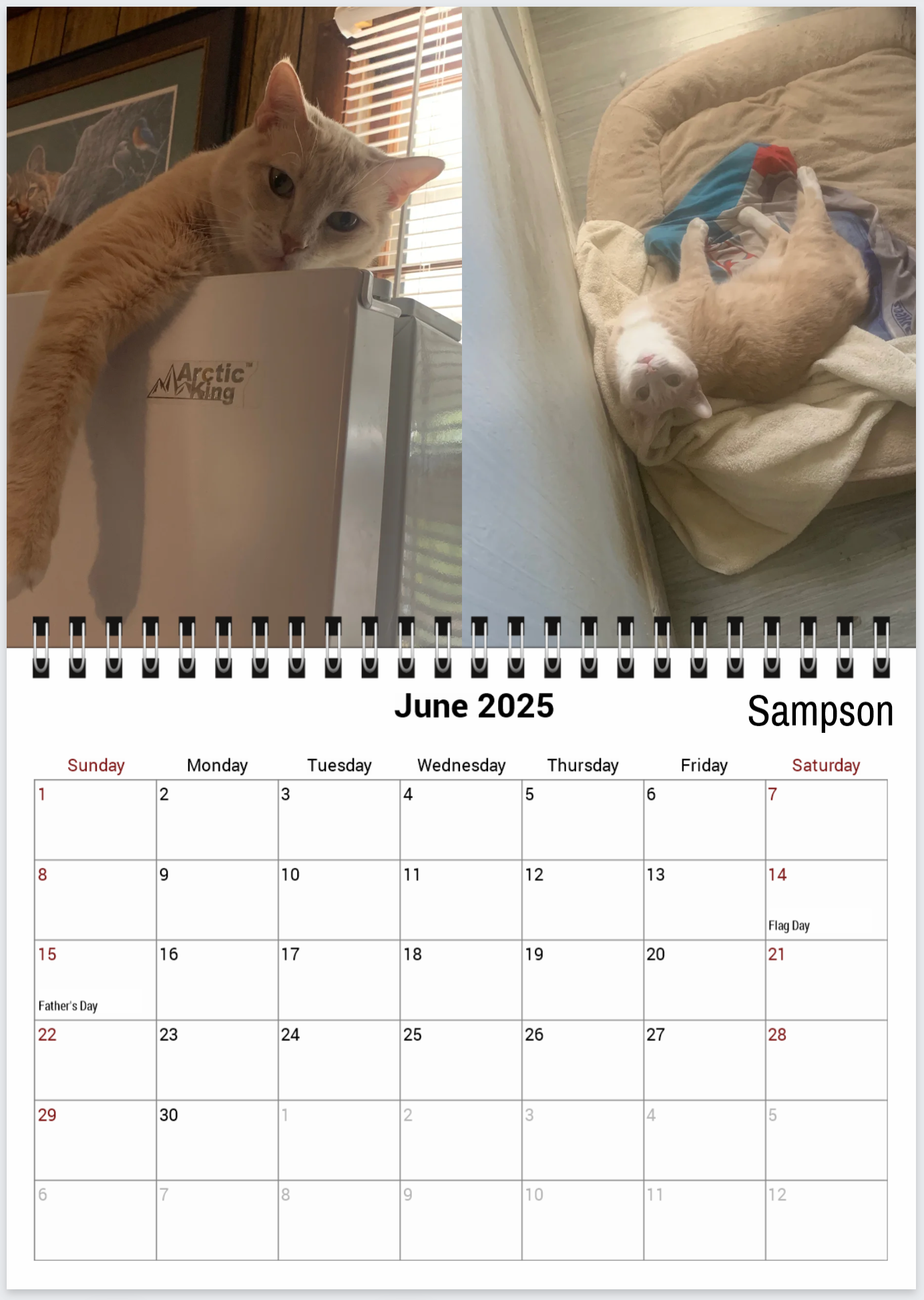Tail-of-the-Month Calendar + Winner Discount (May 2025 - June 2026)