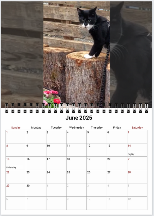Tail-of-the-Month Calendar + Winner Discount (May 2025 - June 2026)