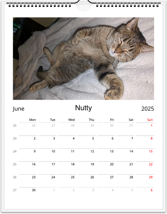 Tail-of-the-Month Calendar + Winner Discount (May 2025 - May 2026)