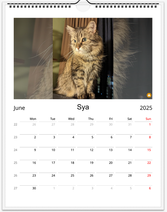 Tail-of-the-Month Calendar + Winner Discount (May 2025 - May 2026)