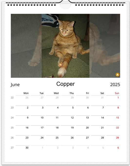 Tail-of-the-Month Calendar + Winner Discount (May 2025 - May 2026)