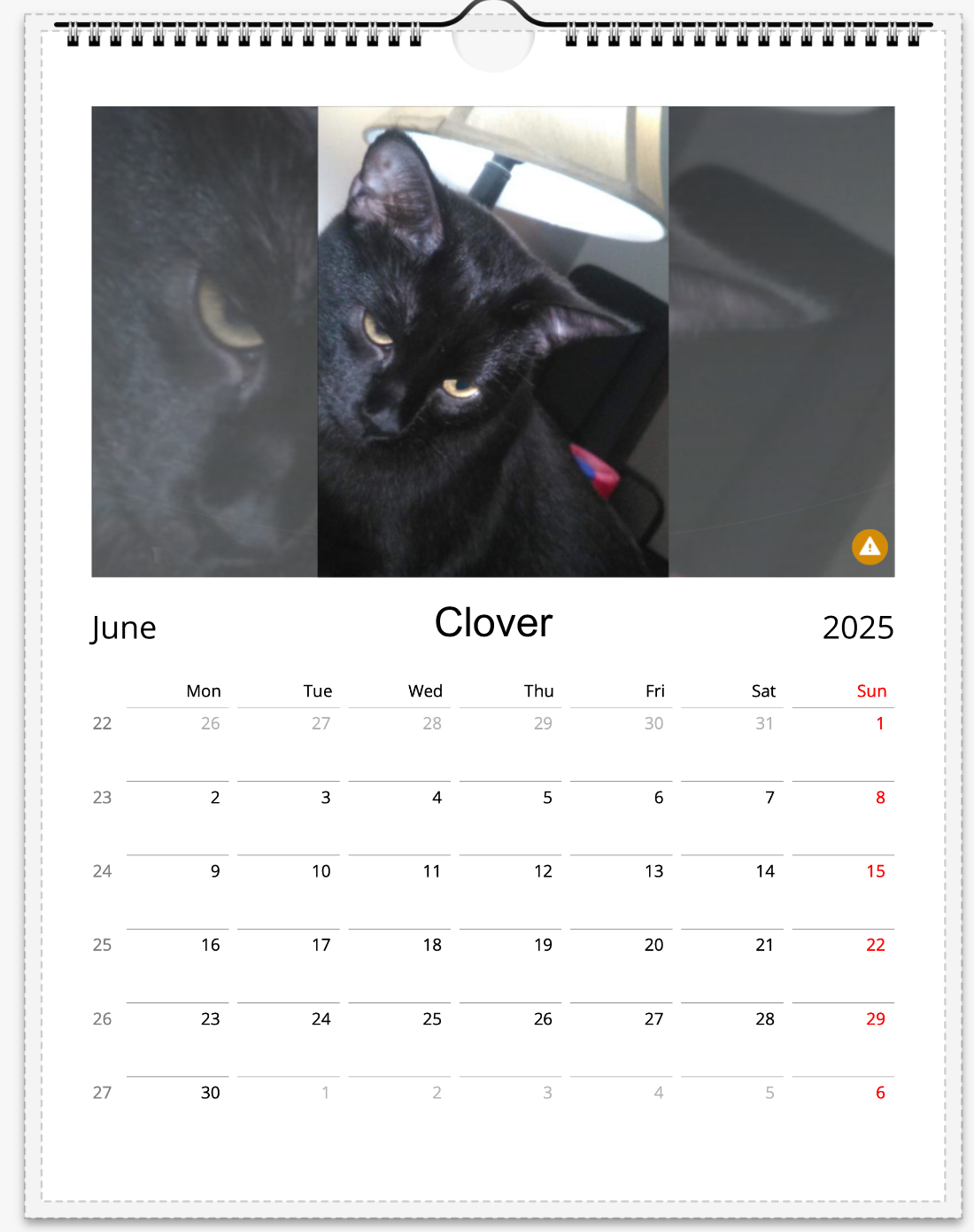 Tail-of-the-Month Calendar + Winner Discount (June 2025 - June 2026)
