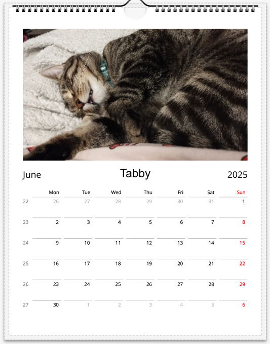 Tail-of-the-Month Calendar + Winner Discount (June 2025 - June 2026)