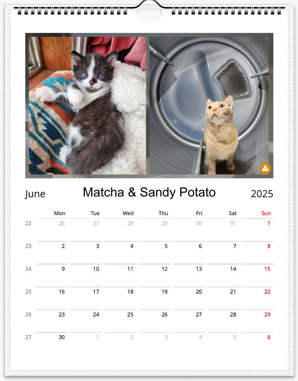 Tail-of-the-Month Calendar + Winner Discount (June 2025 - June 2026)