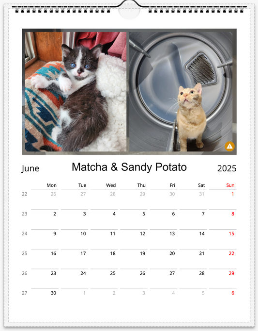 Tail-of-the-Month Calendar + Winner Discount (June 2025 - June 2026)